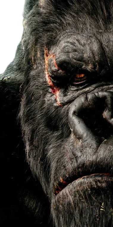 King Kong