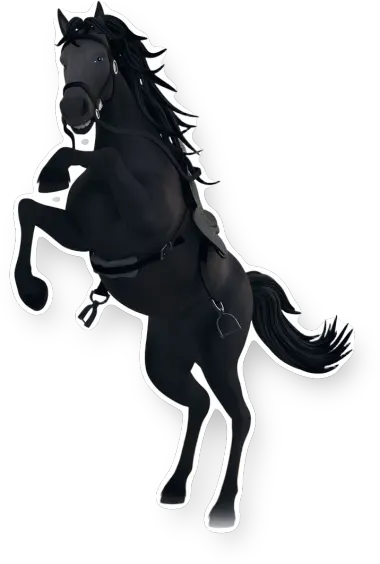 Zorro