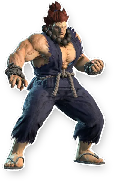 Street Fighter V
