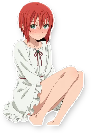 The Ancient Magus' Bride