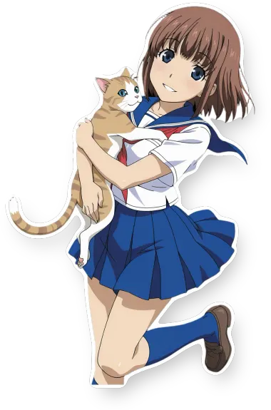 Nyan Koi!