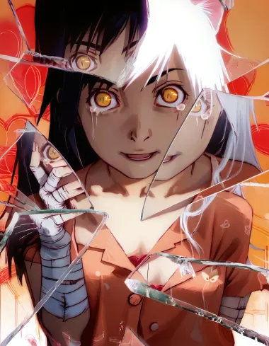 Monogatari Series