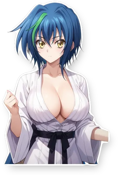 High School DxD