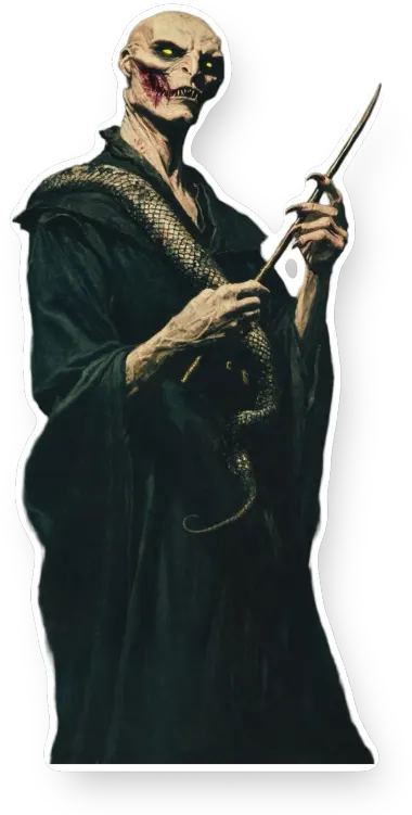 Harry Potter
